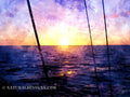 Sailor's Delight — Client Presentation File