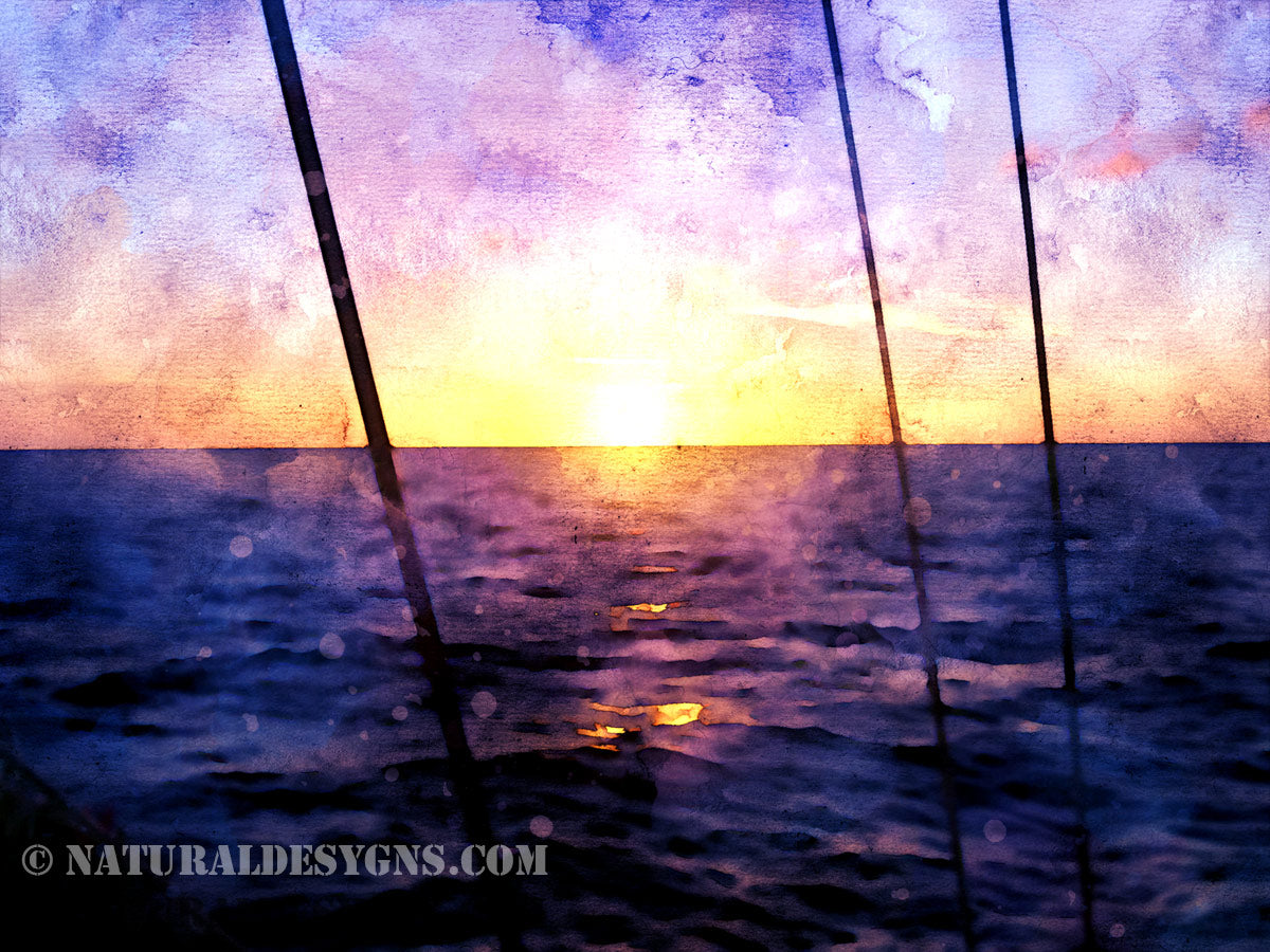 Sailor's Delight — Client Presentation File