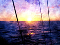 Sailor's Delight — Client Presentation File