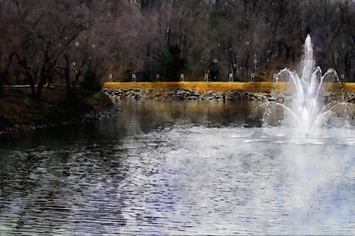 Rimmed Pond — Client Presentation File