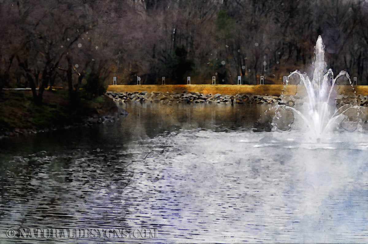 Rimmed Pond — Client Presentation File