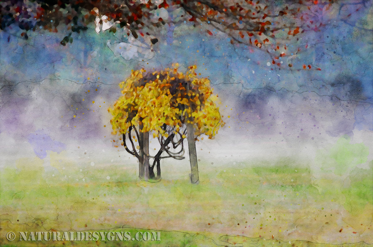 Autumn Tree 003 — Client Presentation File